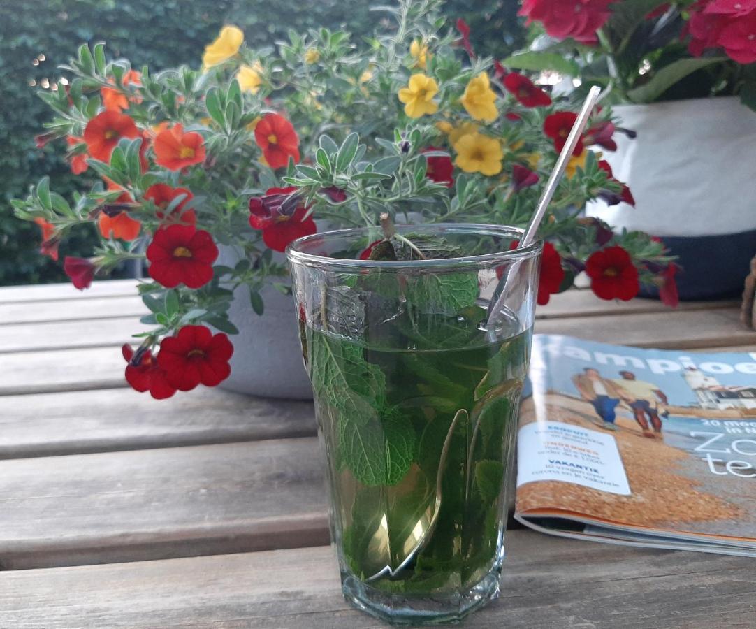 Bed and Breakfast Mahil-Laya Meppel Esterno foto